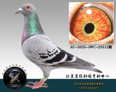 120-AU-2023-JWC-23512