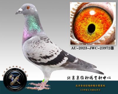 121-AU-2023-JWC-23972