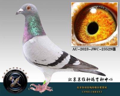 122-AU-2023-JWC-23529