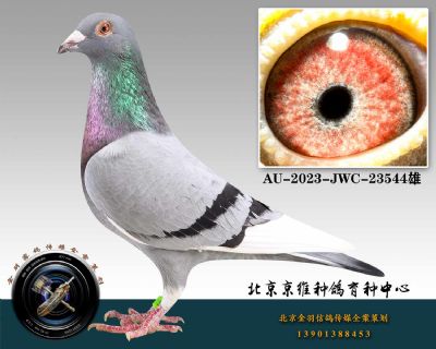 123-AU-2023-JWC-23544