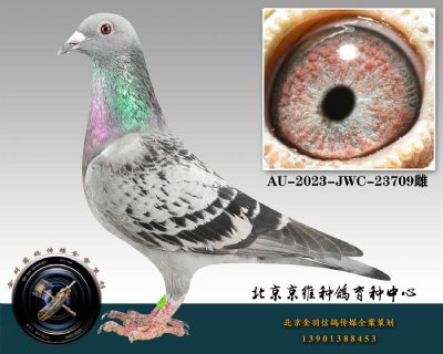 124-AU-2023-JWC-23709