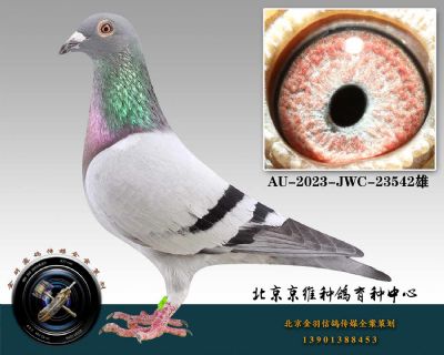 125-AU-2023-JWC-23542