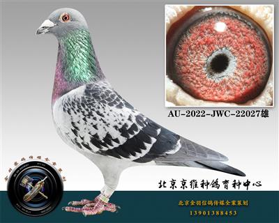 289-AU-2022-JWC-22027