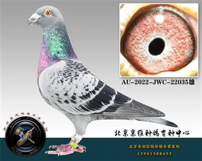 290-AU-2022-JWC-22035