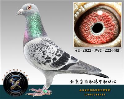 293-AU-2022-JWC-22266