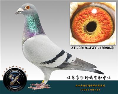 257-AU-2019-JWC-19280