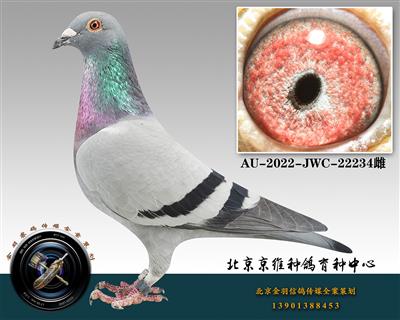 258-AU-2022-JWC-22234