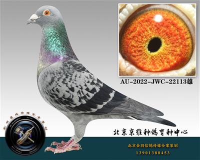 266-AU-2022-JWC-22113