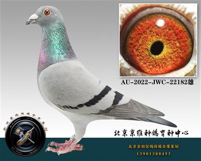 267-AU-2022-JWC-22182