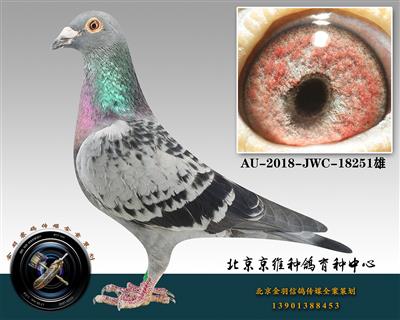 268-AU-2018-JWC-18251