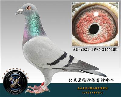 269-AU-2021-JWC-21551