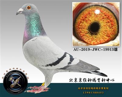 274-AU-2019-JWC-19913