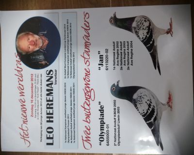 汇金信鸽传媒 - 中信网铭鸽展厅