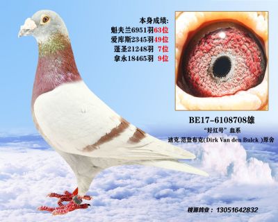 迪克-范登布克原舍  拿永18465羽9位