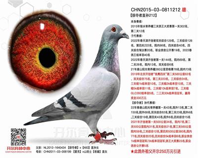 开尔鸽业 - 中信网铭鸽展厅