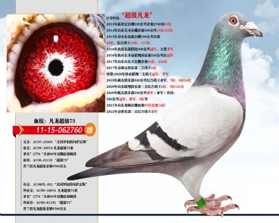 点击查看此商品大图片
