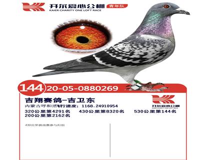 开尔鸽业 - 中信网铭鸽展厅