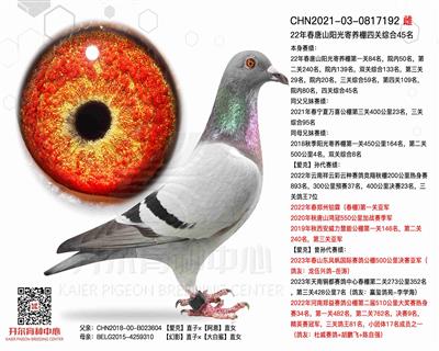 开尔鸽业 - 中信网铭鸽展厅