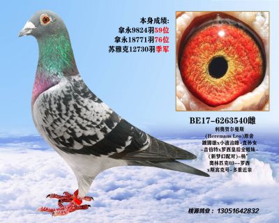 利奥原舍 本身 苏雅克 12730羽 季军