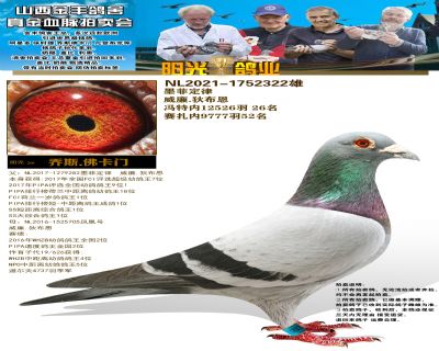 北京王瑜鸽鸽业展示厅图片