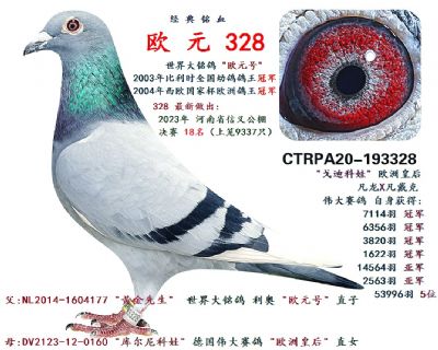 台湾飞鸿集团 - 中信网铭鸽展厅