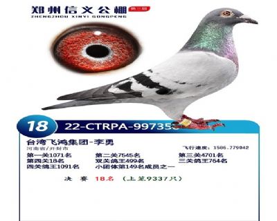 台湾飞鸿集团 - 中信网铭鸽展厅