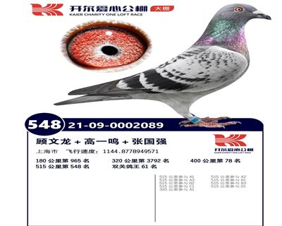 开尔鸽业 - 中信网铭鸽展厅