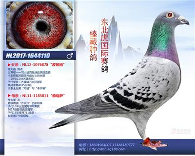 易鸽传媒 - 中信网铭鸽展厅