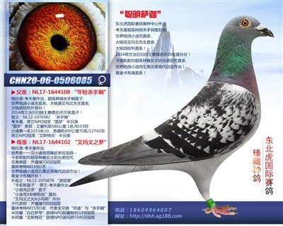 易鸽传媒 - 中信网铭鸽展厅