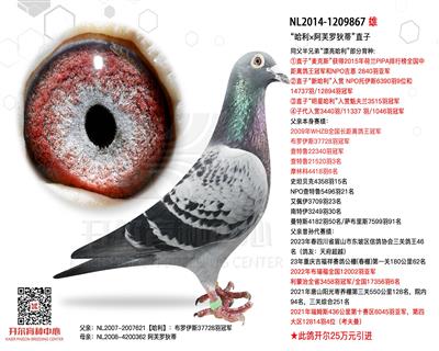 开尔鸽业 - 中信网铭鸽展厅