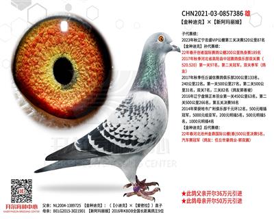 开尔鸽业 - 中信网铭鸽展厅