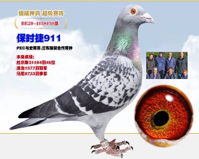 保时捷兰布瑞契8733羽季军 21184羽46名