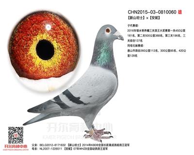 开尔鸽业 - 中信网铭鸽展厅