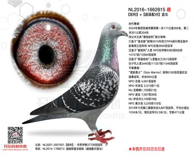 开尔鸽业 - 中信网铭鸽展厅