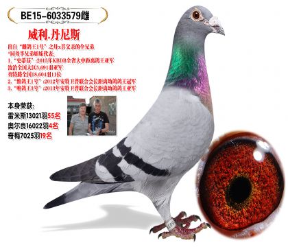 丹尼斯 奥尔良16022羽4名