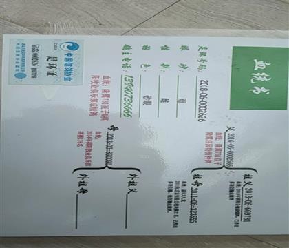 58金鸽 - 中信网铭鸽展厅