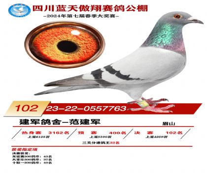 拍卖专题蓝天傲翔公棚24年春决赛101200名