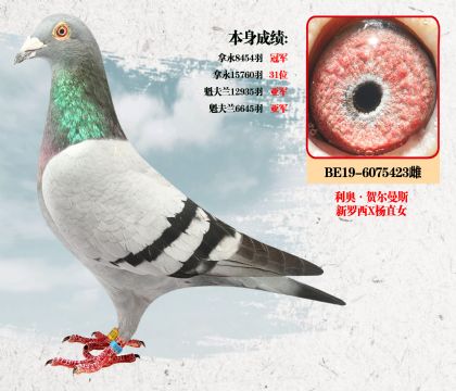 利奥·贺尔曼斯本身成绩:拿永8454羽 冠军