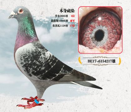 利奥·贺尔曼 本身成绩:比格斯10335羽亚军