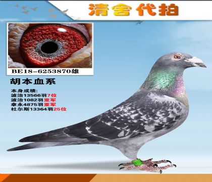 胡本.匹诺曹x年轻艺术家