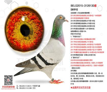 开尔鸽业 - 中信网铭鸽展厅
