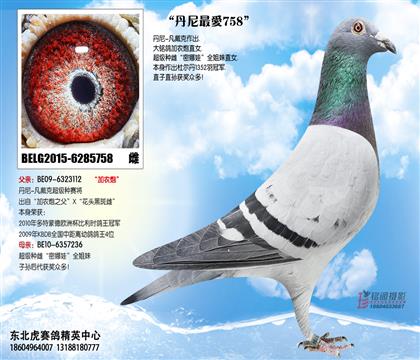 易鸽传媒 - 中信网铭鸽展厅