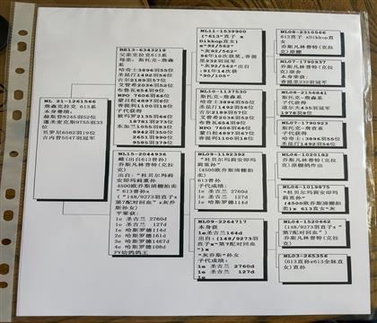 信鸽在线拍卖平台 - 中国信鸽信息网