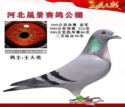 公棚决赛亚军–王大亮