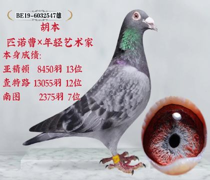 当前位置>信鸽拍卖首页>拍卖专题>查看拍卖商品>胡本  匹诺曹x年轻