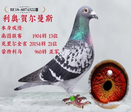 利奥.贺尔曼斯原舍