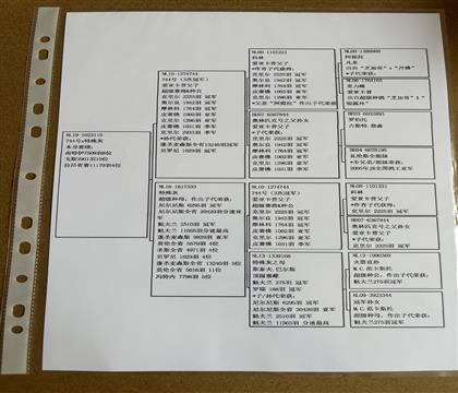 信鸽在线拍卖平台 - 中国信鸽信息网
