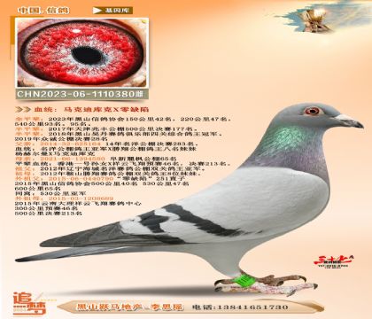 马克迪库克x零缺陷