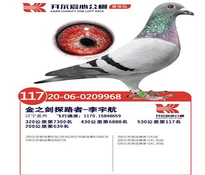 开尔鸽业 - 中信网铭鸽展厅