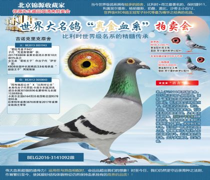 吉诺克里克原舍-9578羽241名